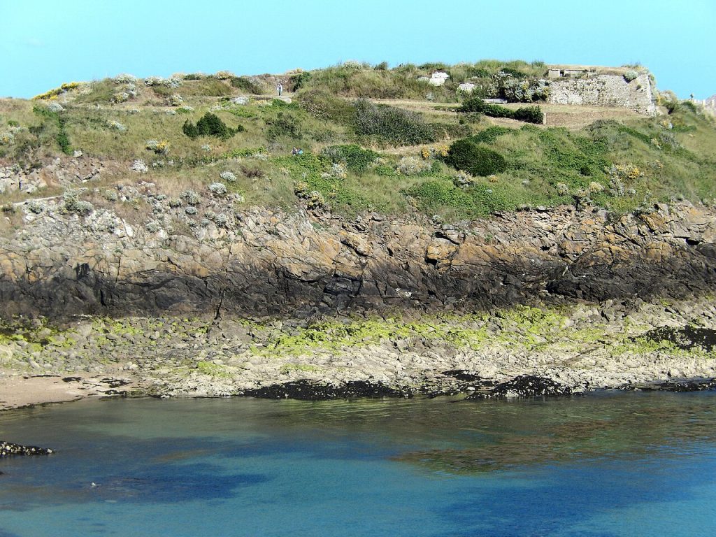 A rocky shoreline. From the water there are several distinct bands of bare rock, green algae, black lichen, orange lichen, more bare rock, grass, and then shrubs.